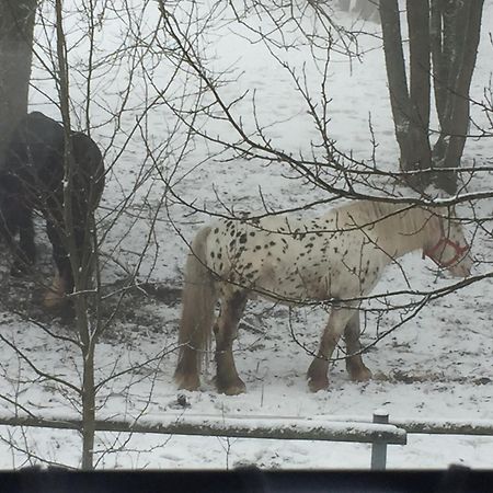 Penzion Na Sluníčku Marianska Exterior foto