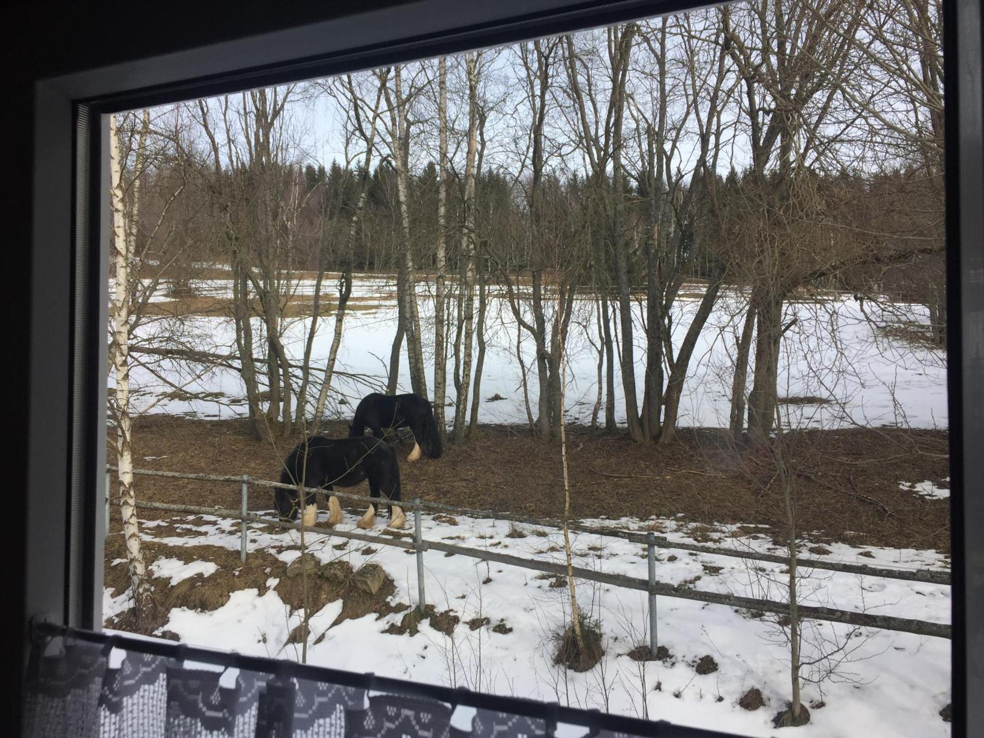 Penzion Na Sluníčku Marianska Exterior foto